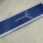 Algiz Blue and White Bookmark by Wayuką́