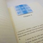 Frost Magnetic Bookmark by Wayuką́