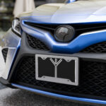 Algiz Black and White License Plate by Wayuką́