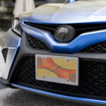 Dissolution License Plate by Wayuką́