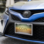 Odin Grunge License Plate by Wayuką́